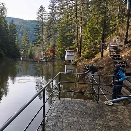 Úszó hotel кампинг петлето *